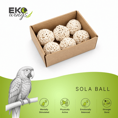 Sola Balls 60mm (Small) - EKOWINGS