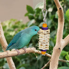 Star Feather Swing Toy ( Small ) - EKOWINGS
