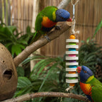 Round Tier Climbing Toy ( Medium ) - EKOWINGS
