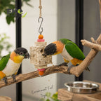 Square Foraging Swing Toy ( Medium ) - EKOWINGS