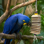 Plate and Tier Swing Toy ( Large ) - EKOWINGS