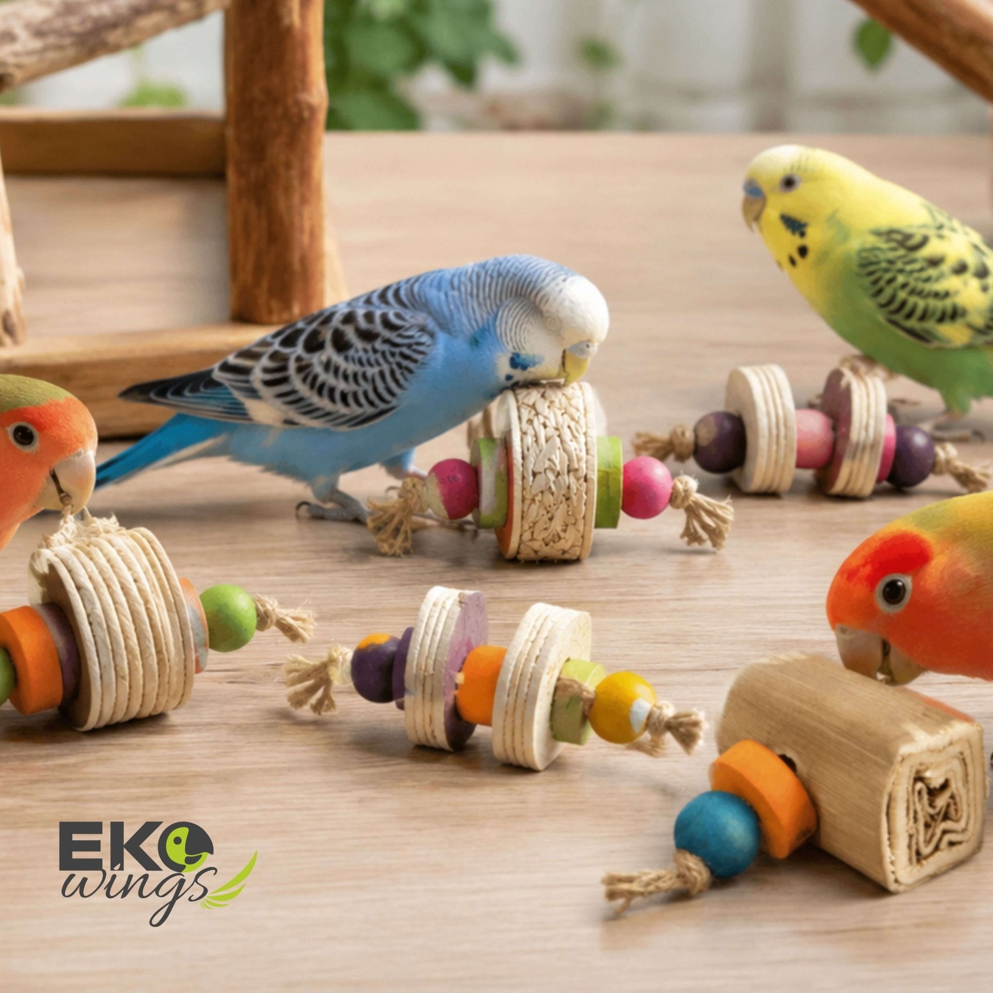 Palm Foot Toys Sets - EKOWINGS