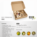 Assorted Foraging Box - Large - EKOWINGS