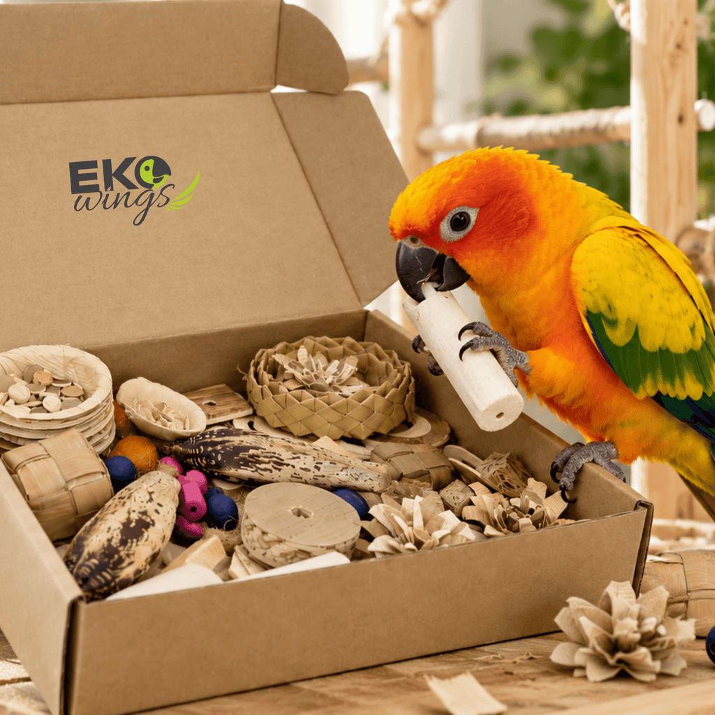 Assorted Foraging Box - Large - EKOWINGS