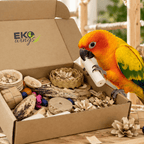 Assorted Foraging Box - Large - EKOWINGS