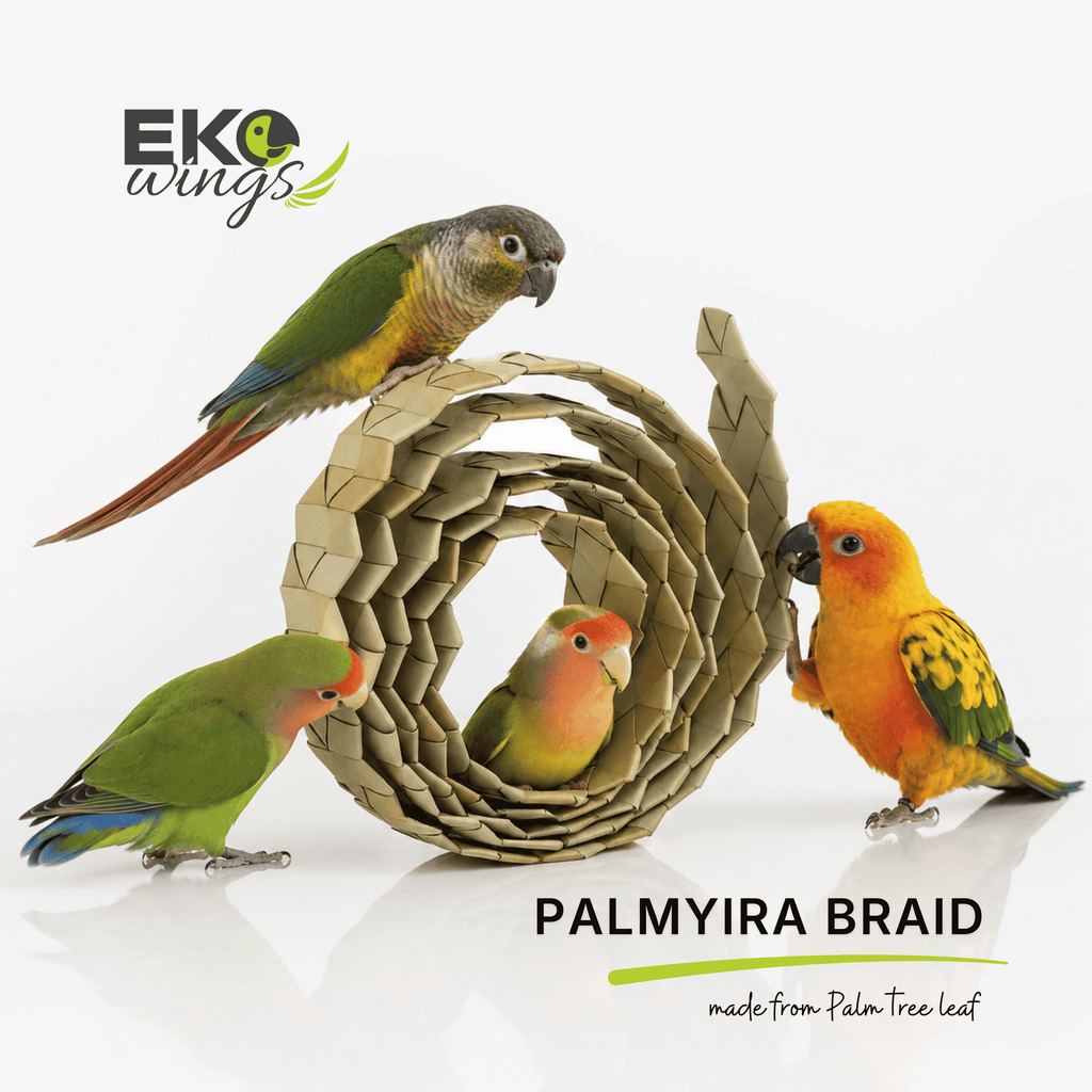 Palmyra Leaf Braid Refill (1 Meter)