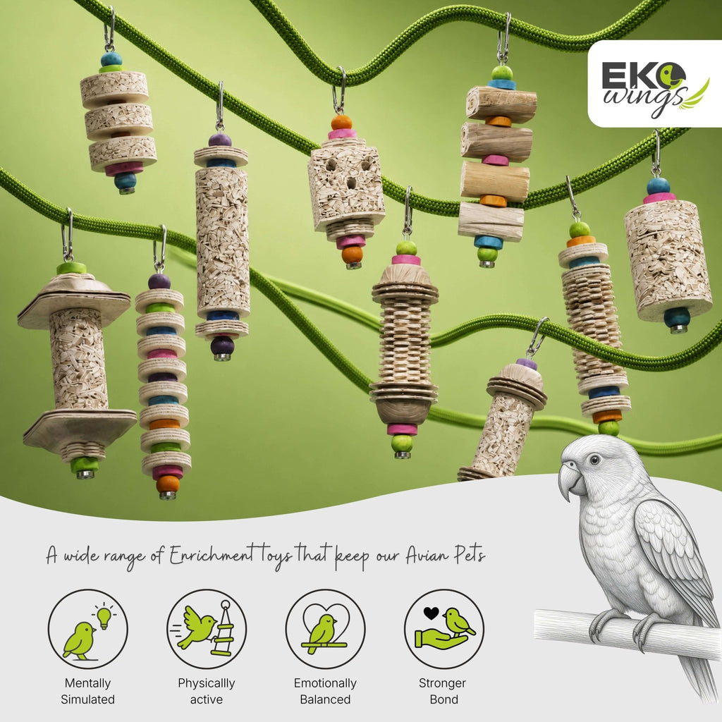 Star Feather Swing Toy ( Medium ) - EKOWINGS