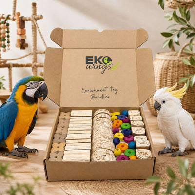 Foraging Box – Large - EKOWINGS