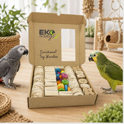 Foraging Box – Medium - EKOWINGS