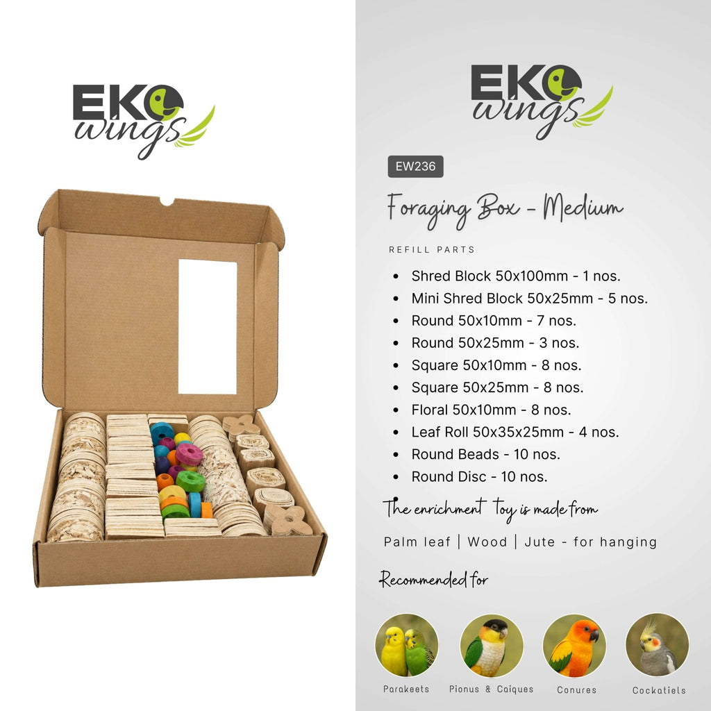 Foraging Box – Medium - EKOWINGS