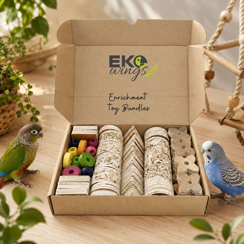 Foraging Box – Small - EKOWINGS