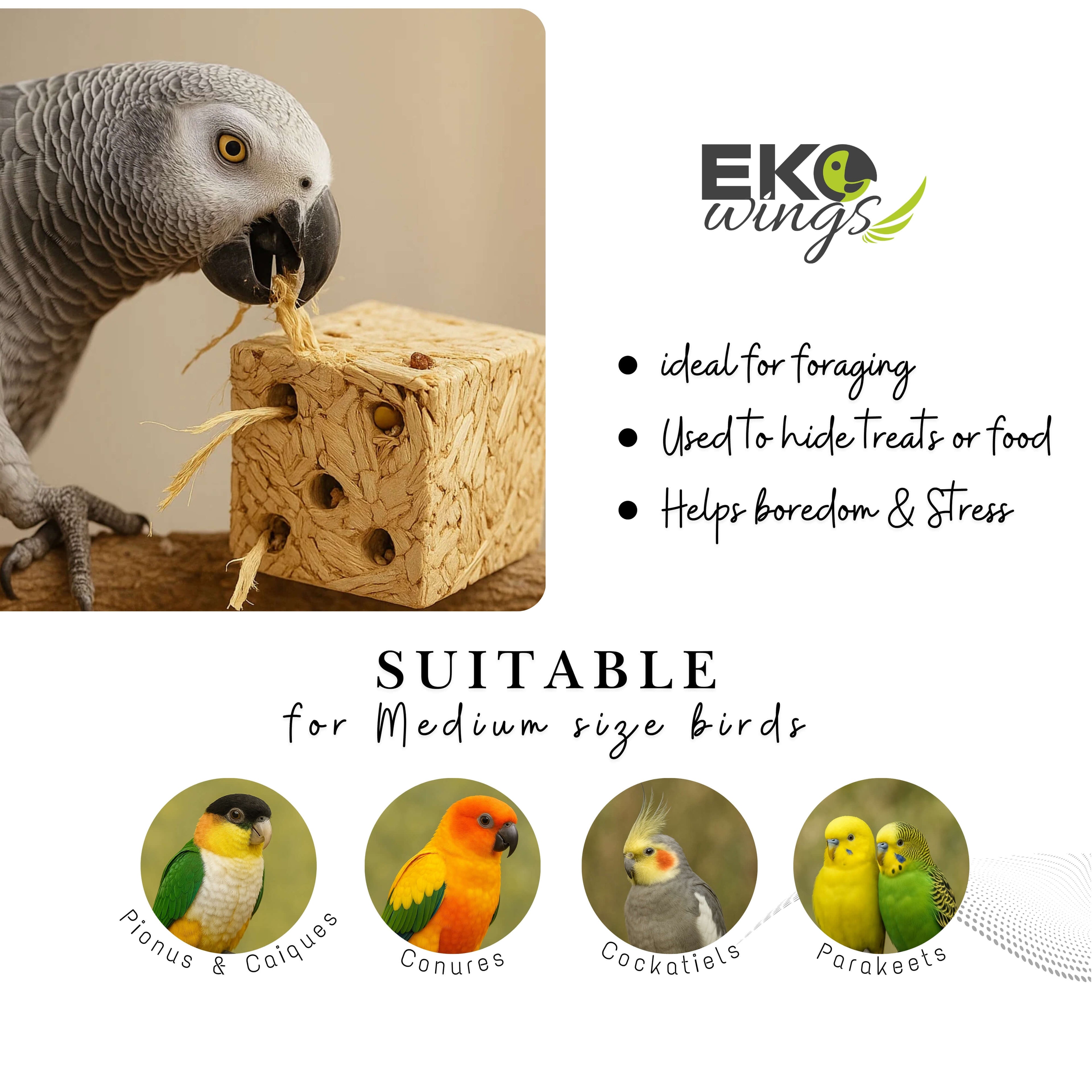 Palm Foraging Block Refill (Large)