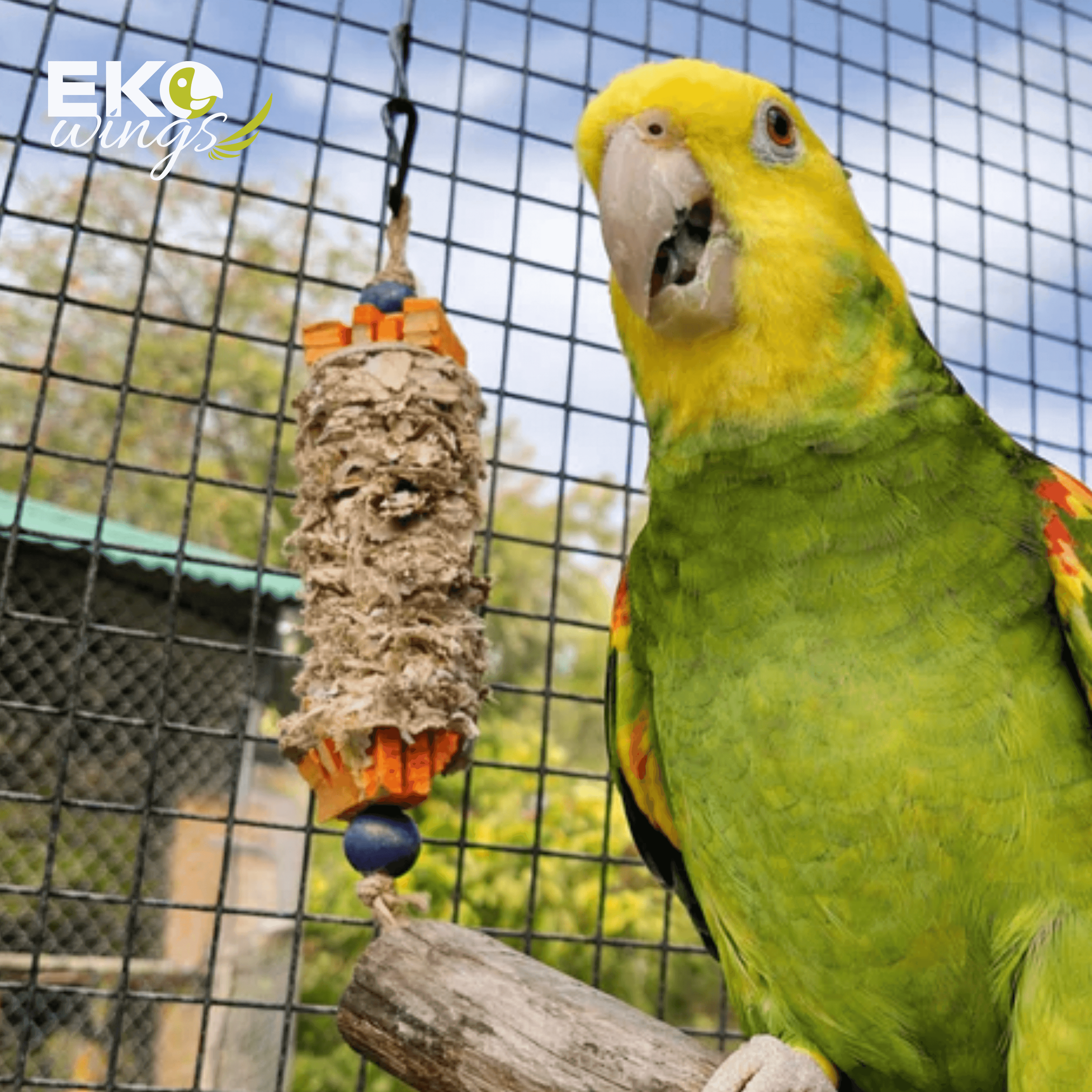 Palm Shredder Block with Dip Swing Toy (Medium)