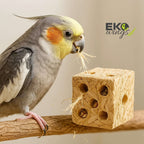 Palm Foraging Block Refill (Large) - EKOWINGS