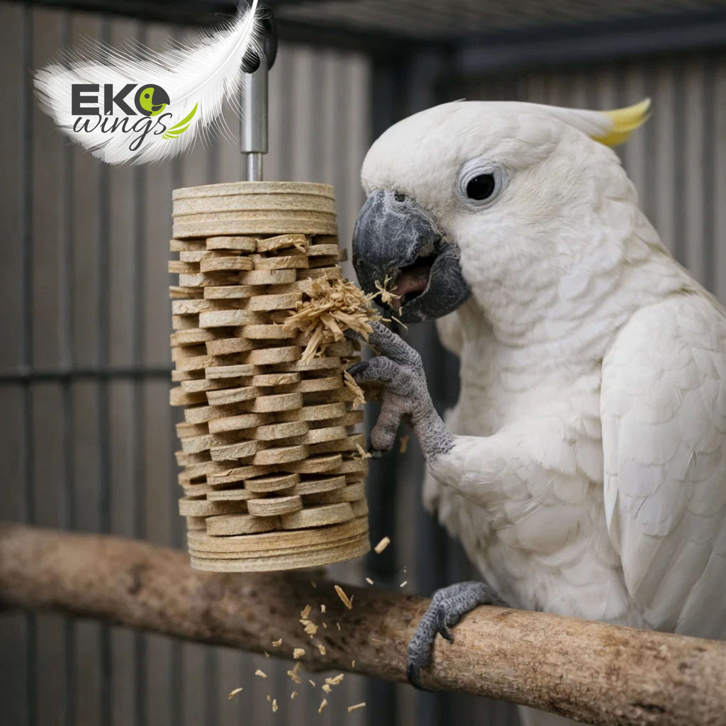 Palm Feather Block Refill (Small) - EKOWINGS