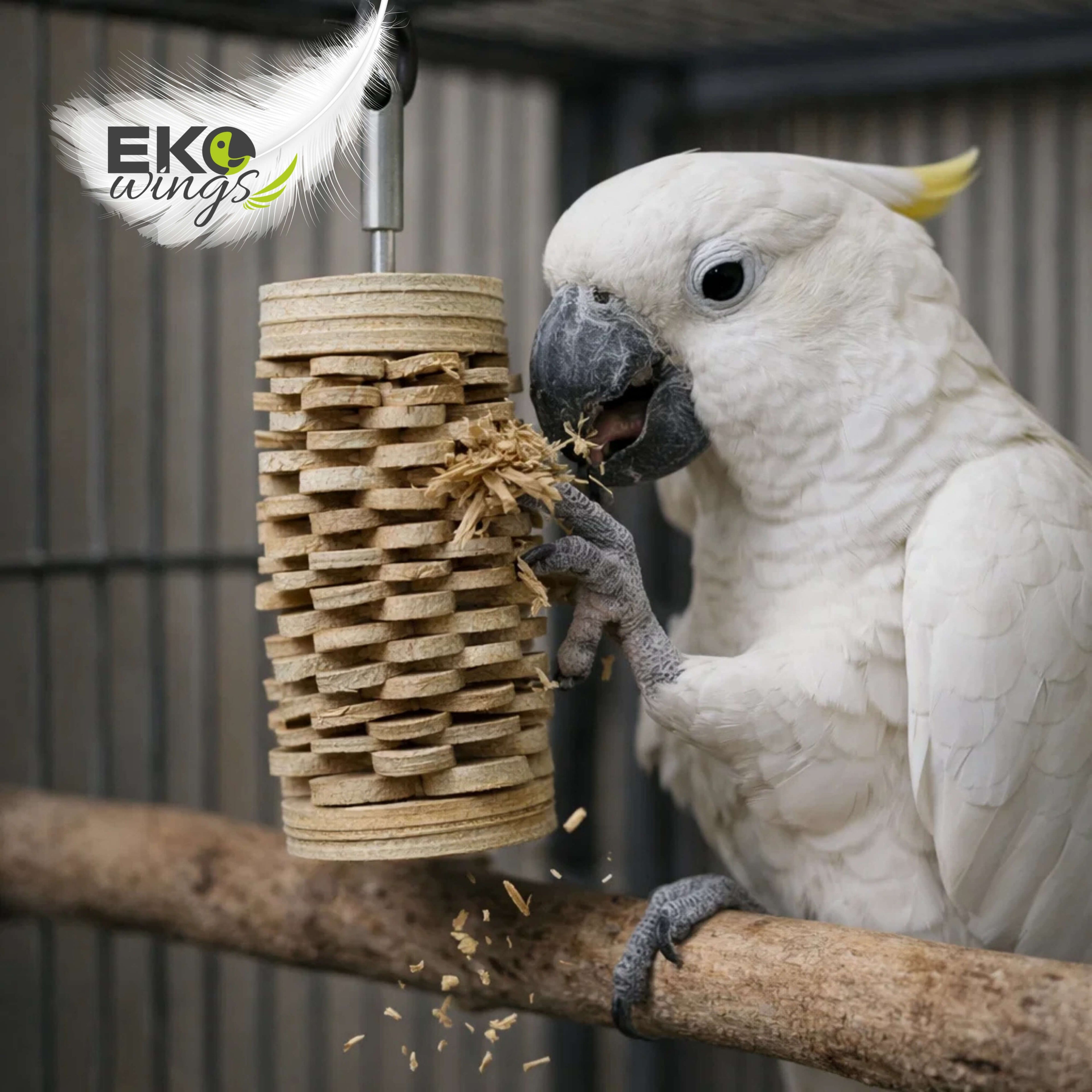 Palm Feather Block Refill (Small)